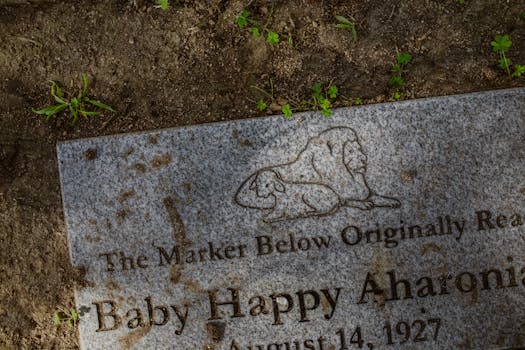 Unraveling Missouri’s Age of Consent: More Than Just a Number Game