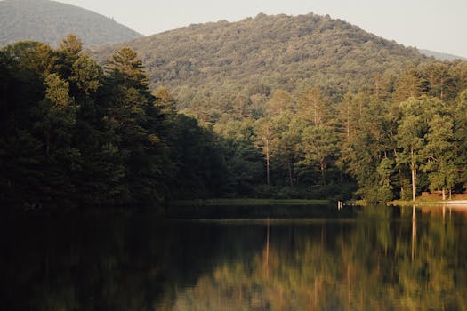 Beyond the Label: Unpacking the True Appeal of Georgia Jackets