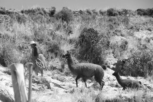 Life Skills Curriculum Special Education: It’s Not Just About Not Burning Toast