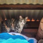 Beyond the Beach Gear: Strategic Home Improvement in Surf City