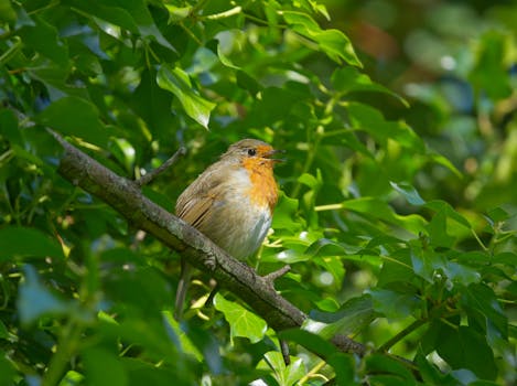 Visualizing Your Next Project: Decoding Lowe’s Home Improvement Warner Robins Photos