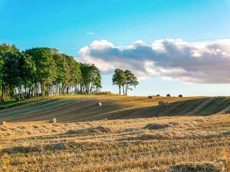 Beyond the Brochure: Unpacking the Essence of Glencoe Health