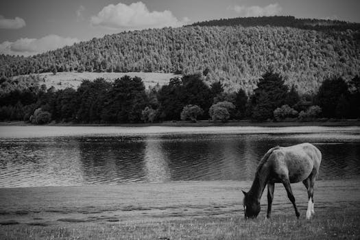 Unlocking Your Financial Options: A Practical Look at Loans in Tifton, GA