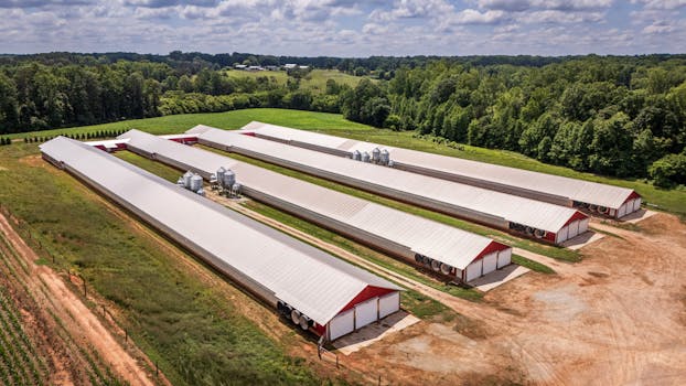 Navigating the Labyrinth: What Every North Carolina Employer Needs to Understand About Employment Laws