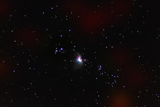 Decoding the Playhouse DFW Lifestyle Club: More Than Just a Venue?