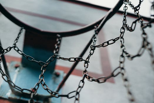 The Engineering of Resilience: Unpacking Massachusetts Institute of Technology Basketball’s Unique Trajectory