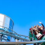 Decoding the Paradox: The Zenify Lifestyle Scream